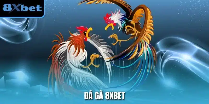 Đá Gà 8xbet